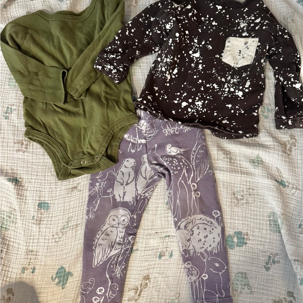 Green Onesie and Graphic Outfit Bundle - Tea Collection, Miles Baby &mini mioche